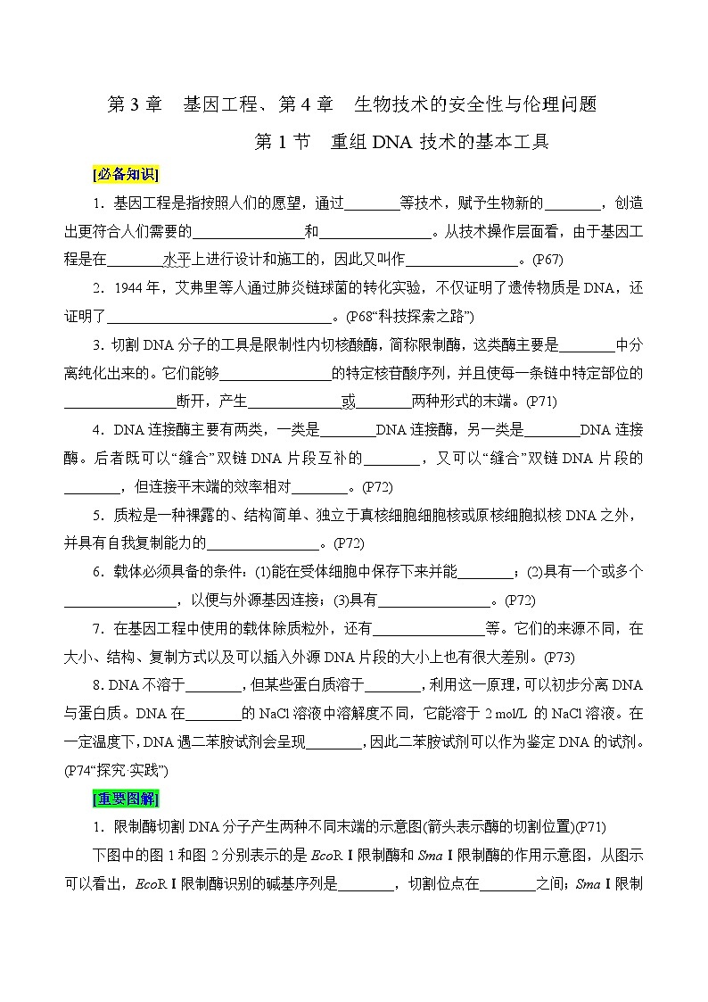 第3章 基因工程、第4章 生物技術(shù)的安全性與倫理問題（填空版）第1頁(yè)