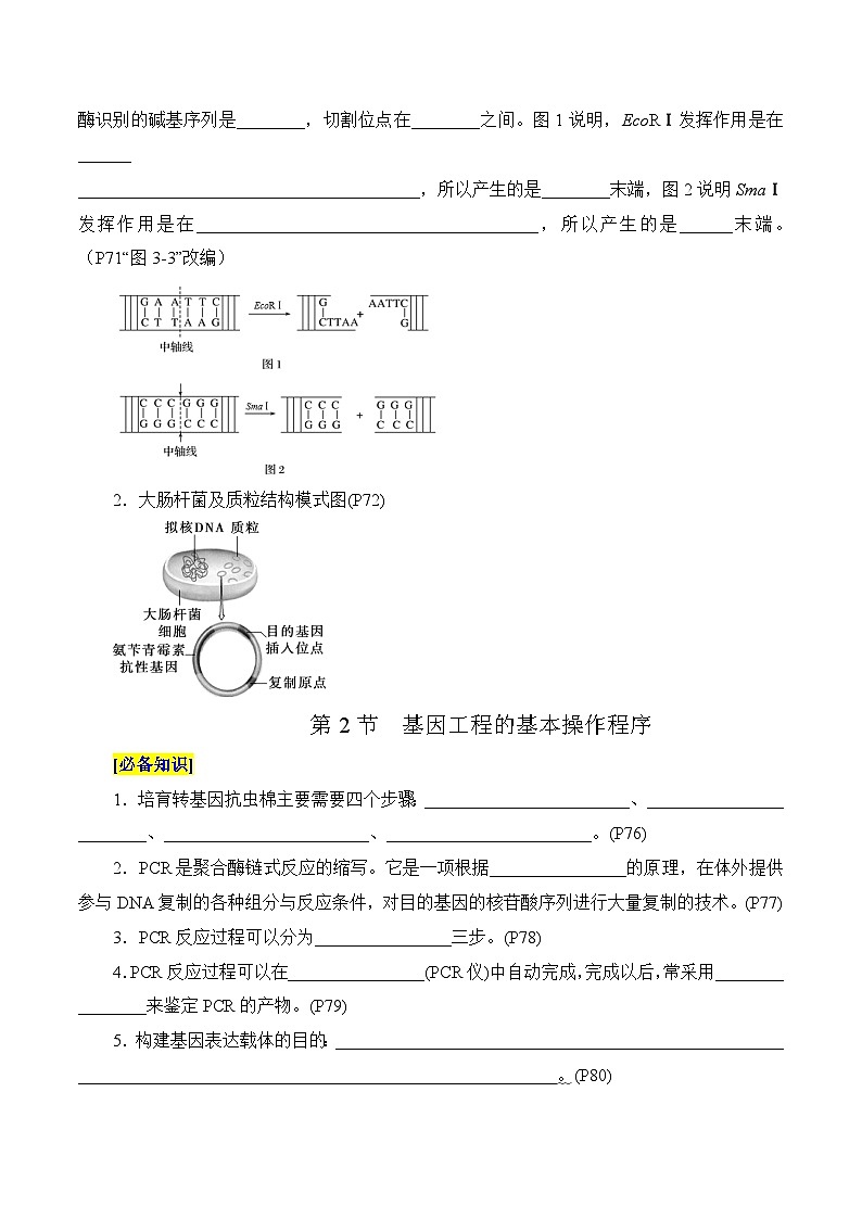 第3章 基因工程、第4章 生物技術(shù)的安全性與倫理問題（填空版）第2頁(yè)
