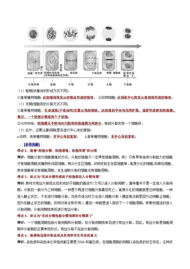 第6章 细胞的生命历程(背诵版)第2页