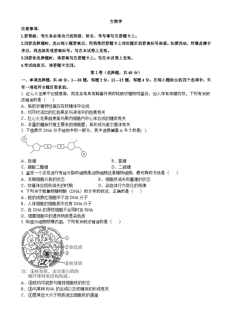 商丘市永城市2024-2025學(xué)年高二上學(xué)期期末生物試卷第1頁