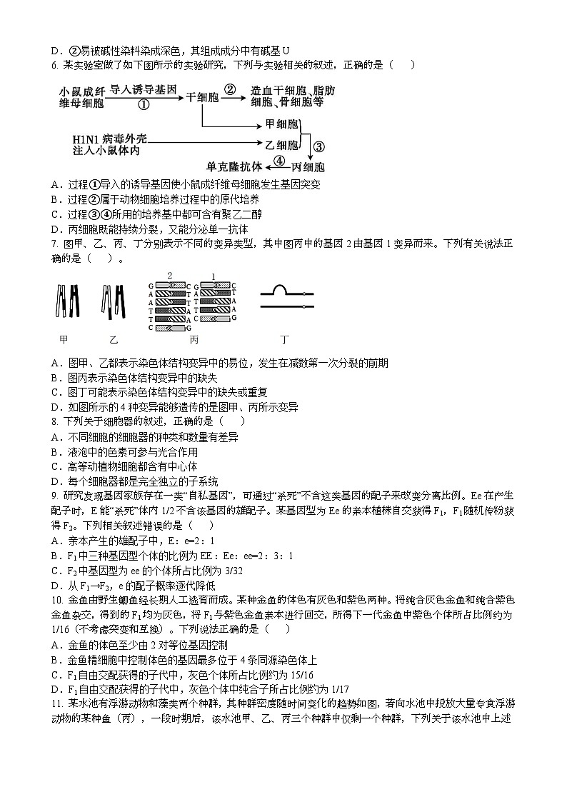 商丘市永城市2024-2025學(xué)年高二上學(xué)期期末生物試卷第2頁