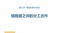 高中生物细胞器之间的分工合作背景图ppt课件