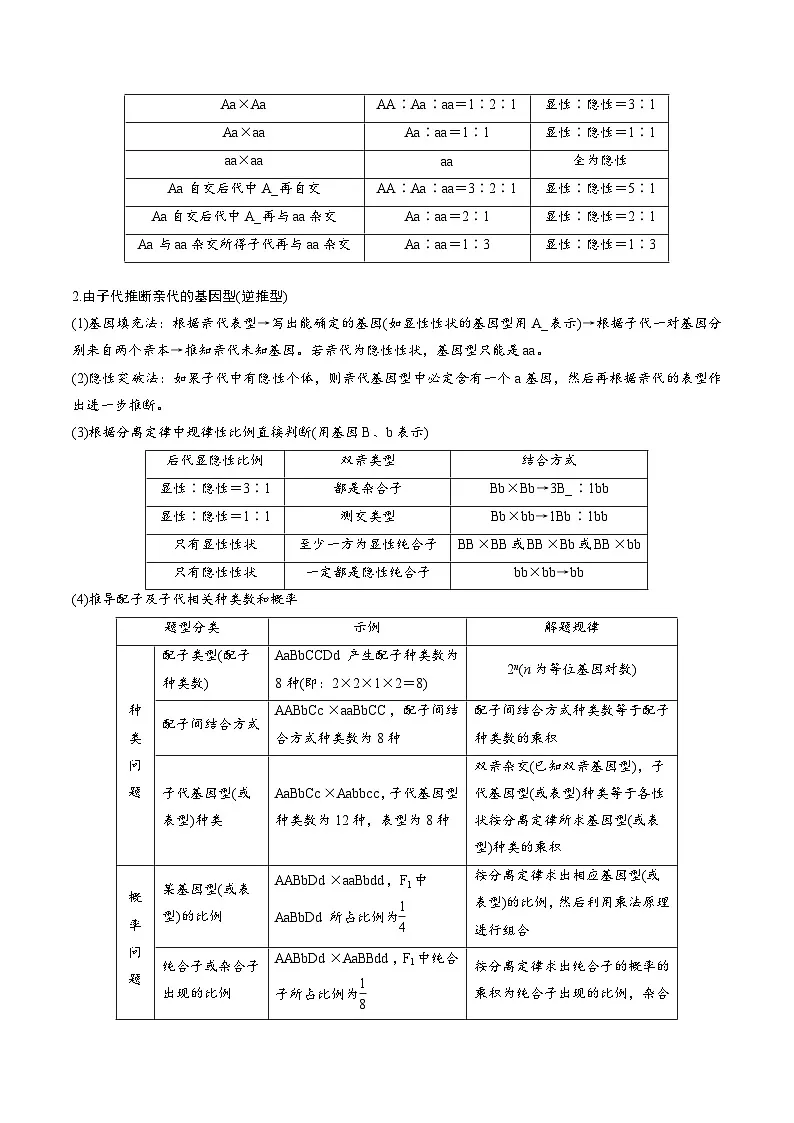 2025年高考生物答题技巧与模板构建 专题04 基因的传递(原卷版)第3页