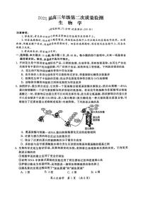 河南高三下学期市2025届高高三下学期3月第二次质量检测-生物试题+答案