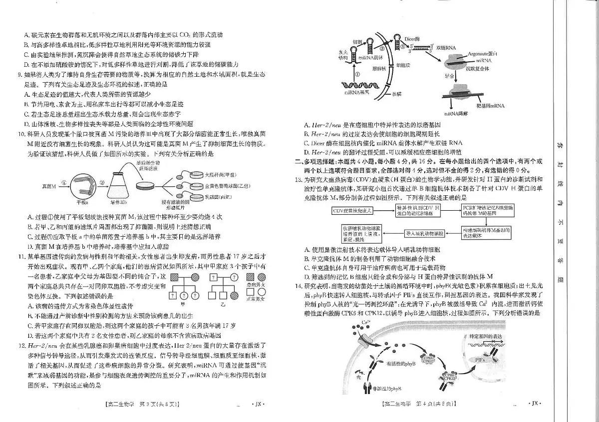 2025届江西省高三下学期金太阳3月联考(JX-4001C)-生物试题+答案第2页