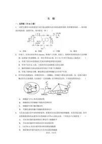 广东省广州市广东实验中学2024-2025学年高一下学期开学考试生物试卷（含答案）