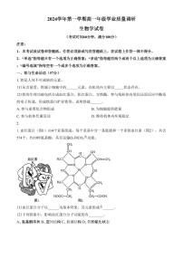 上海市闵行区2024-2025学年高一上学期期末生物试题（含答案）