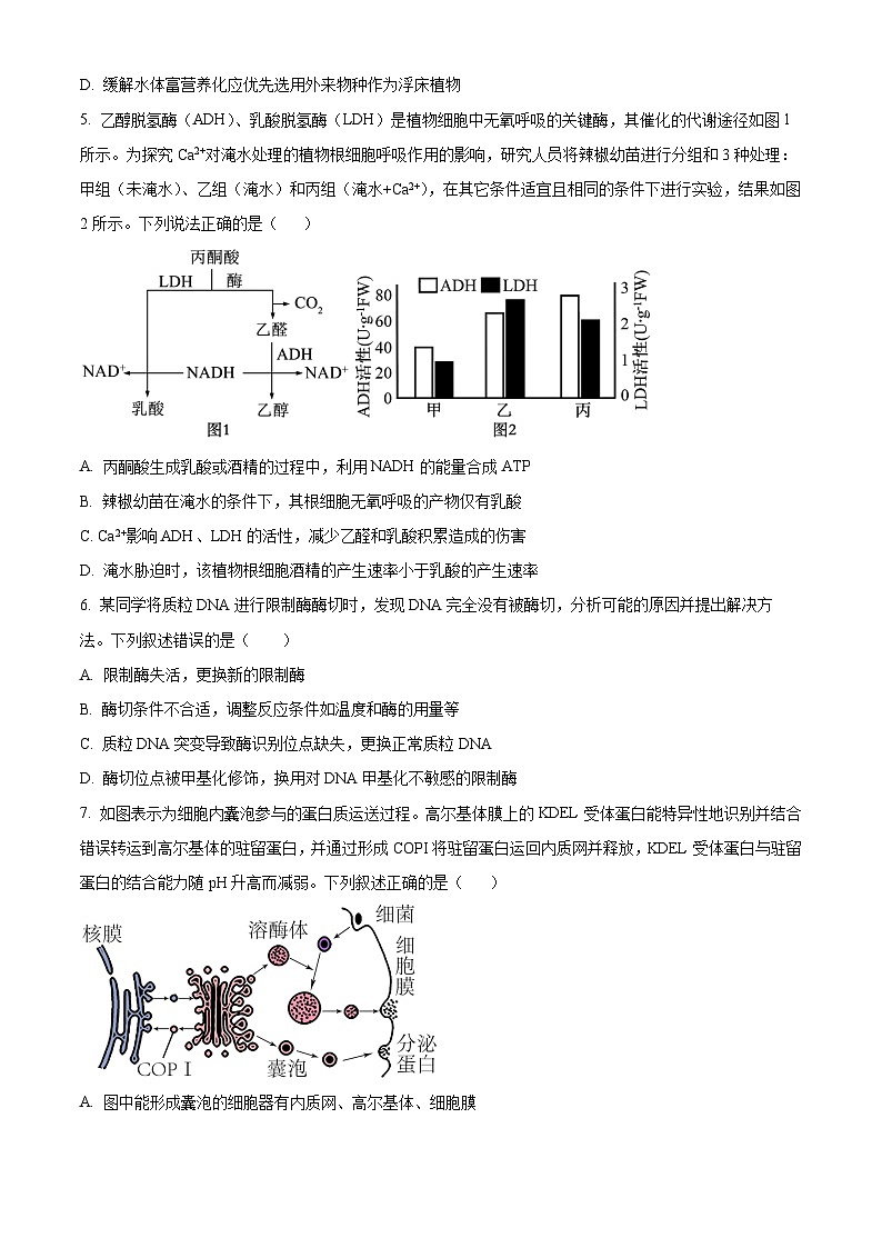 2025届湖南省长沙市望城区长沙市望城区第一中学一模生物试题(原卷版)第2页