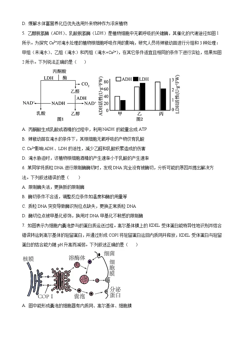 2025届湖南省长沙市望城区长沙市望城区第一中学一模生物试题(原卷版)第2页