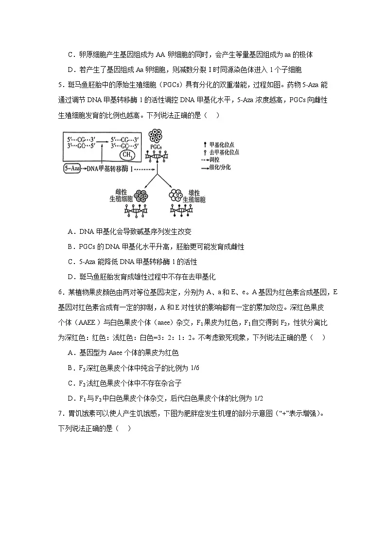 山东省潍坊市2025届高三下学期一模生物试题(无答案解析)第2页