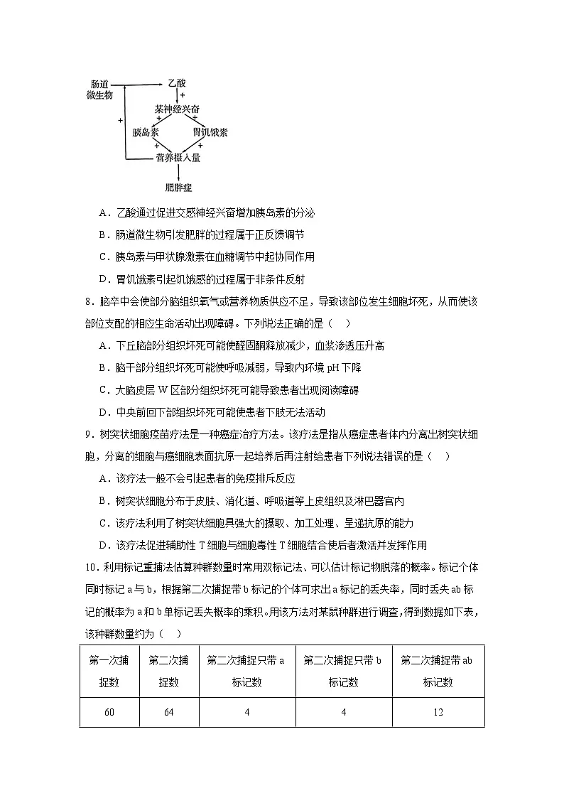 山东省潍坊市2025届高三下学期一模生物试题(无答案解析)第3页