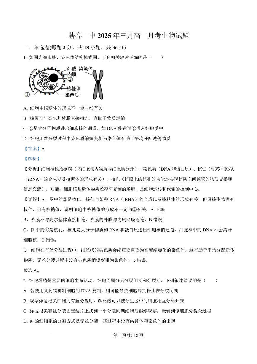 湖北省黄冈市蕲春县第一高级中学2024-2025学年高一下学期3月月考生物试题 Word版含解析第1页