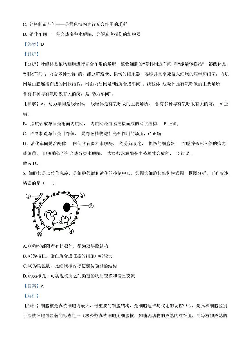 广西百色市2024-2025学年高一上学期1月期末生物试题 Word版含解析第3页