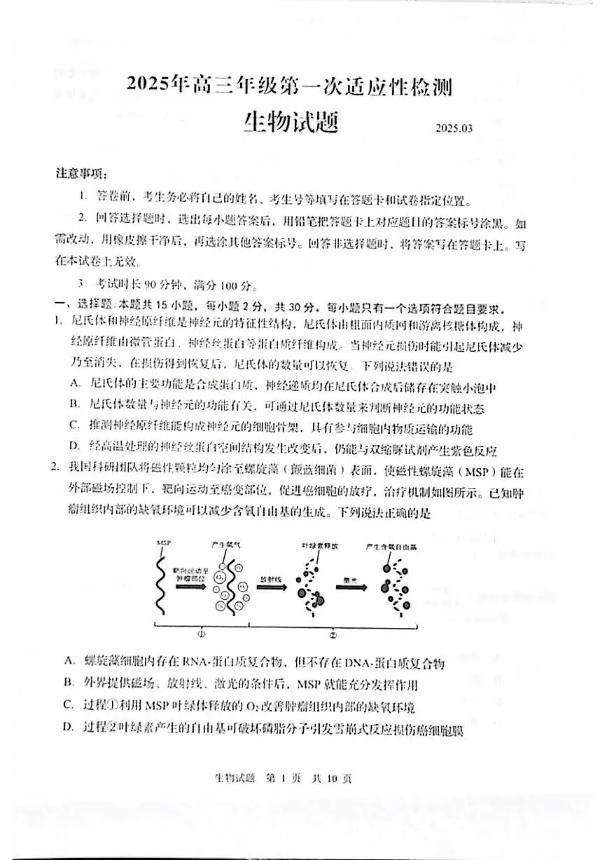 生物丨山东省青岛市2025届高三下学期3月第一次适应性检测生物试卷及答案第1页