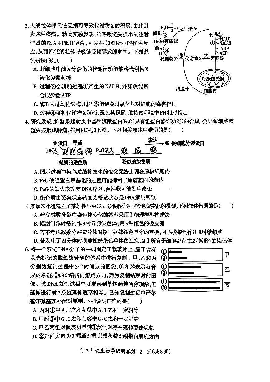 2025届安徽省芜湖市高三一模教学质量监控 生物试题+答案第2页