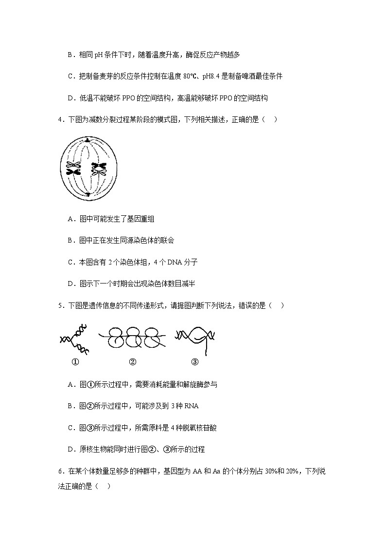 2025屆河北省邯鄲市高三第一次大聯(lián)考模擬預(yù)測(cè)生物試題含答案第2頁(yè)
