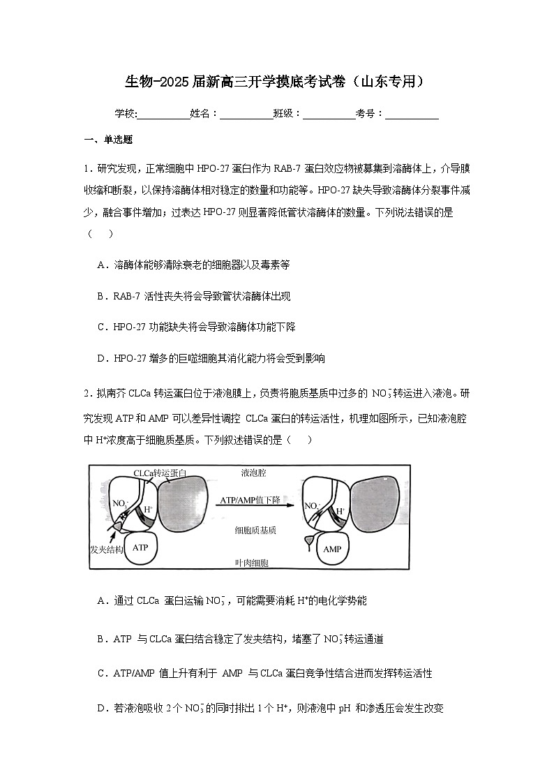 2025屆新高三生物開學摸底考試卷（山東專用）含答案第1頁