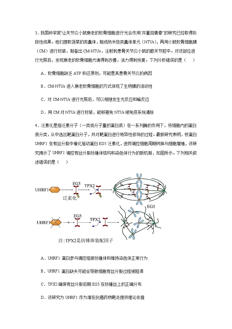 2025屆新高三生物開學摸底考試卷（山東專用）含答案第2頁