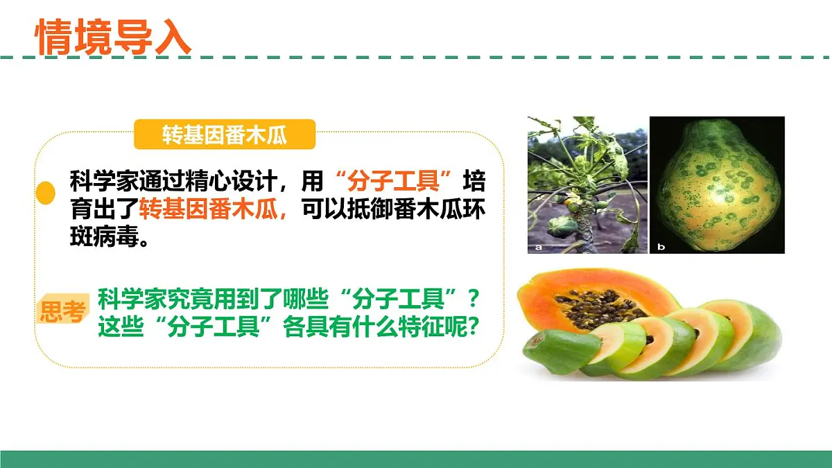 3.1 重组DNA技术的基本工具(教学课件)-2024-2025学年高二生物(人教版2019选择性必修3)第5页