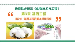 3.2 基因工程的基本操作程序（教學(xué)課件）-2024-2025學(xué)年高二生物（人教版2019選擇性必修3）