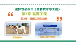 3.3 基因工程的應(yīng)用（教學(xué)課件）-2024-2025學(xué)年高二生物（人教版2019選擇性必修3）