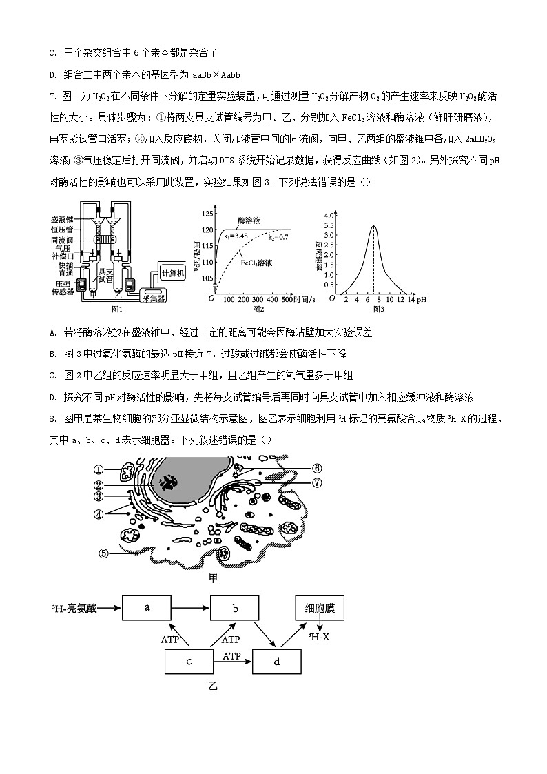 河南省漯河市2023_2024学年高一生物下学期3月月考试题含解析第3页