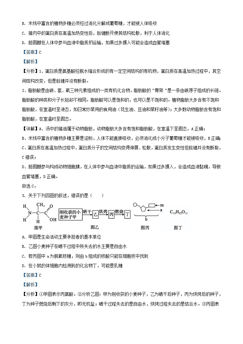湖北省武汉市部分重点中学2023_2024学年高一生物上学期期末联考试题含解析第2页