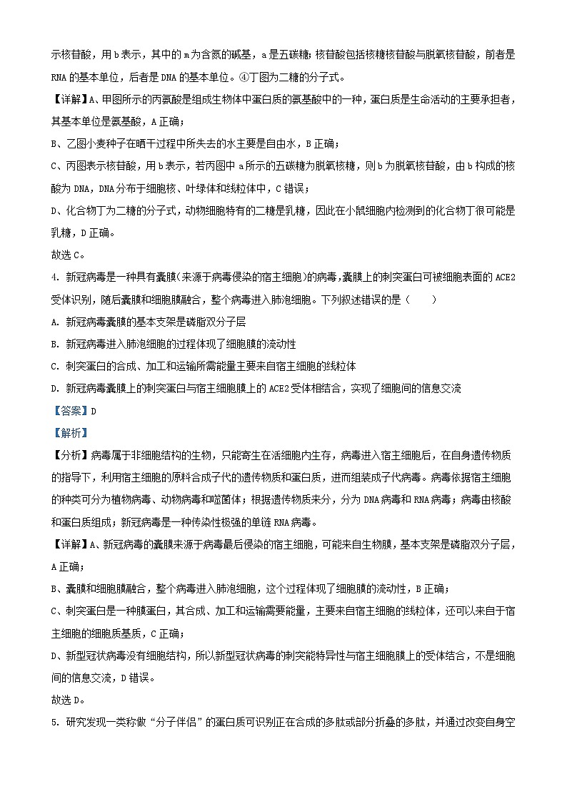 湖北省武汉市部分重点中学2023_2024学年高一生物上学期期末联考试题含解析第3页