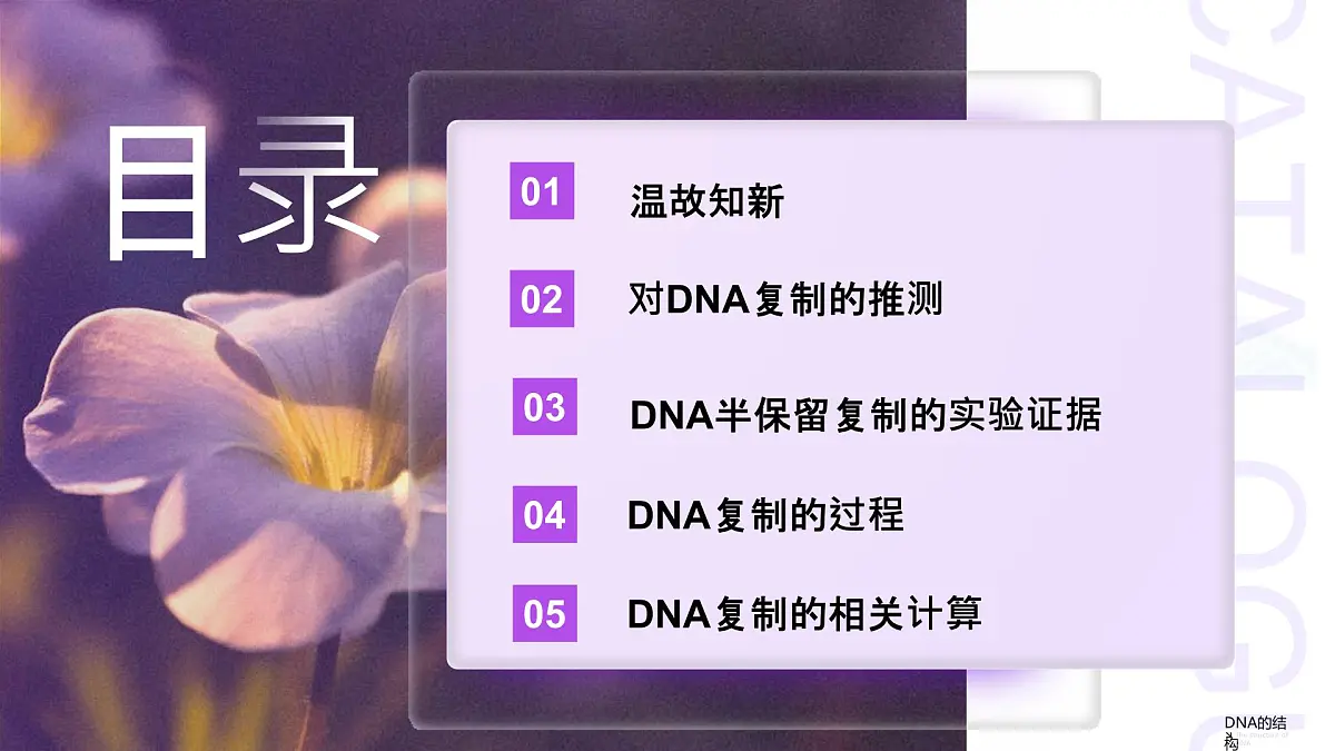 3.3 DNA的复制(教学课件)-高一生物同步课堂(人教版2019必修2)第2页