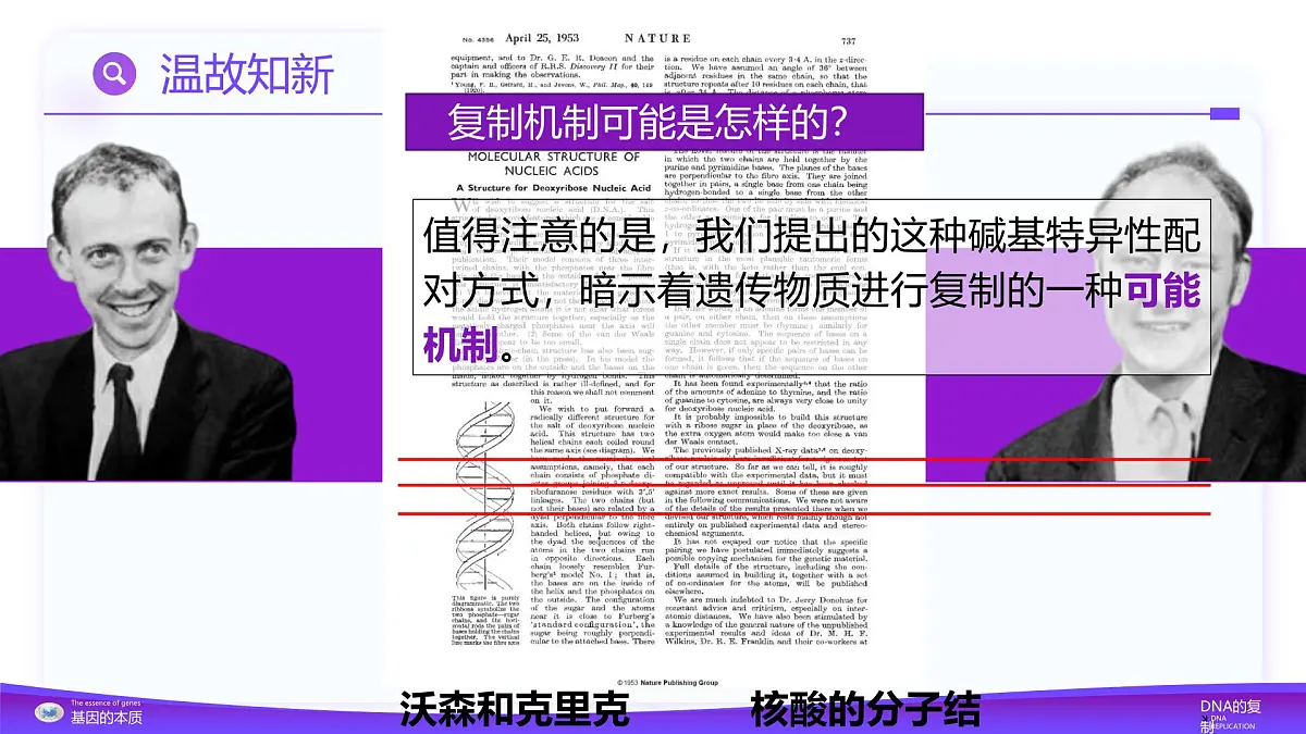 3.3 DNA的复制(教学课件)-高一生物同步课堂(人教版2019必修2)第4页