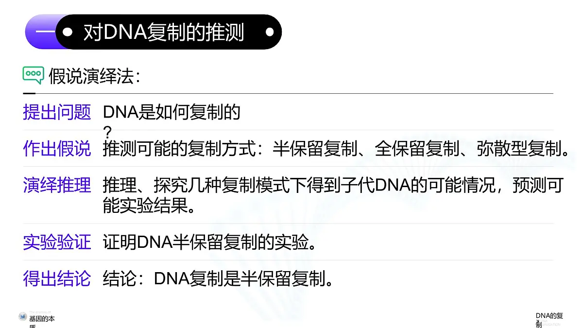 3.3 DNA的复制(教学课件)-高一生物同步课堂(人教版2019必修2)第5页