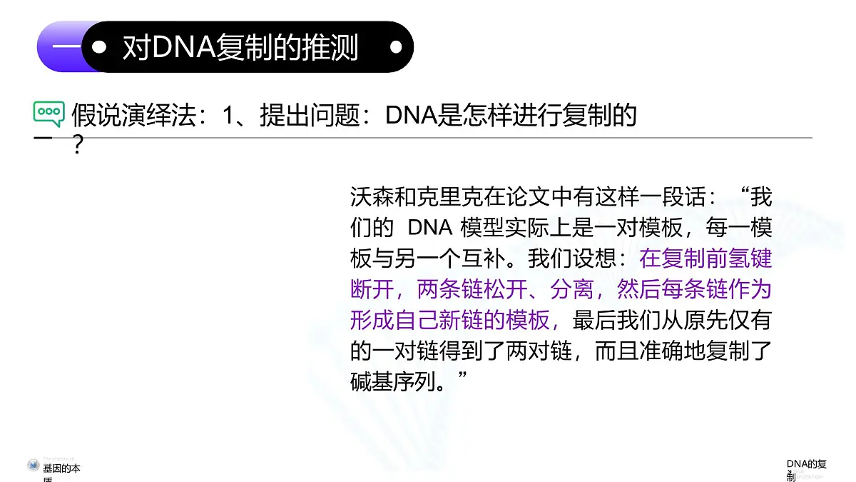 3.3 DNA的复制(教学课件)-高一生物同步课堂(人教版2019必修2)第6页