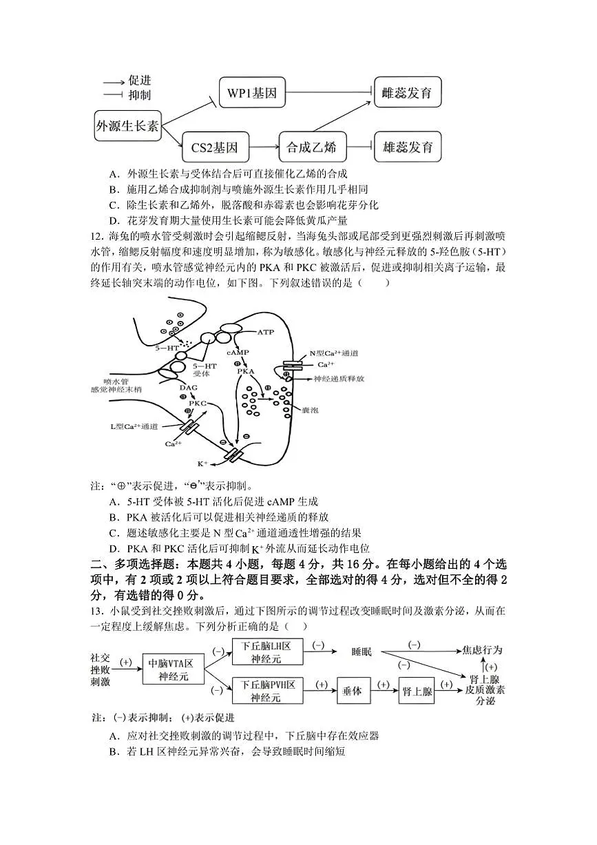 2024~2025学年江西省宜春市丰城中学高二下入学考试生物试卷(含答案)第3页