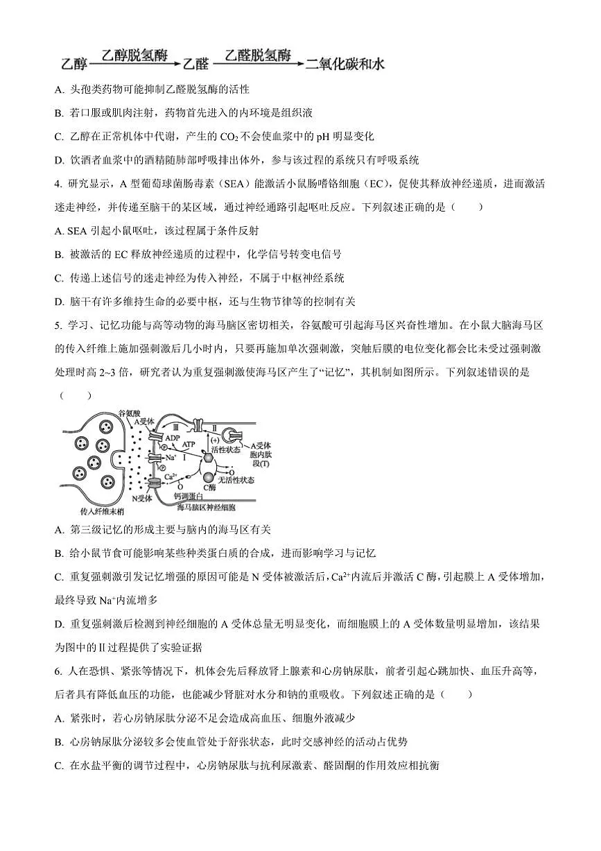 2024~2025学年湖北省高二上期末联考(月考)生物试卷(含答案)第2页