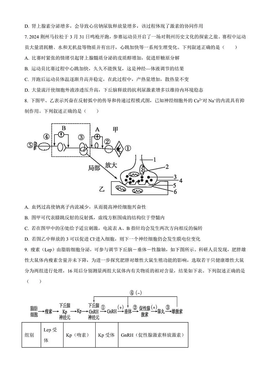 2024~2025学年湖北省高二上期末联考(月考)生物试卷(含答案)第3页