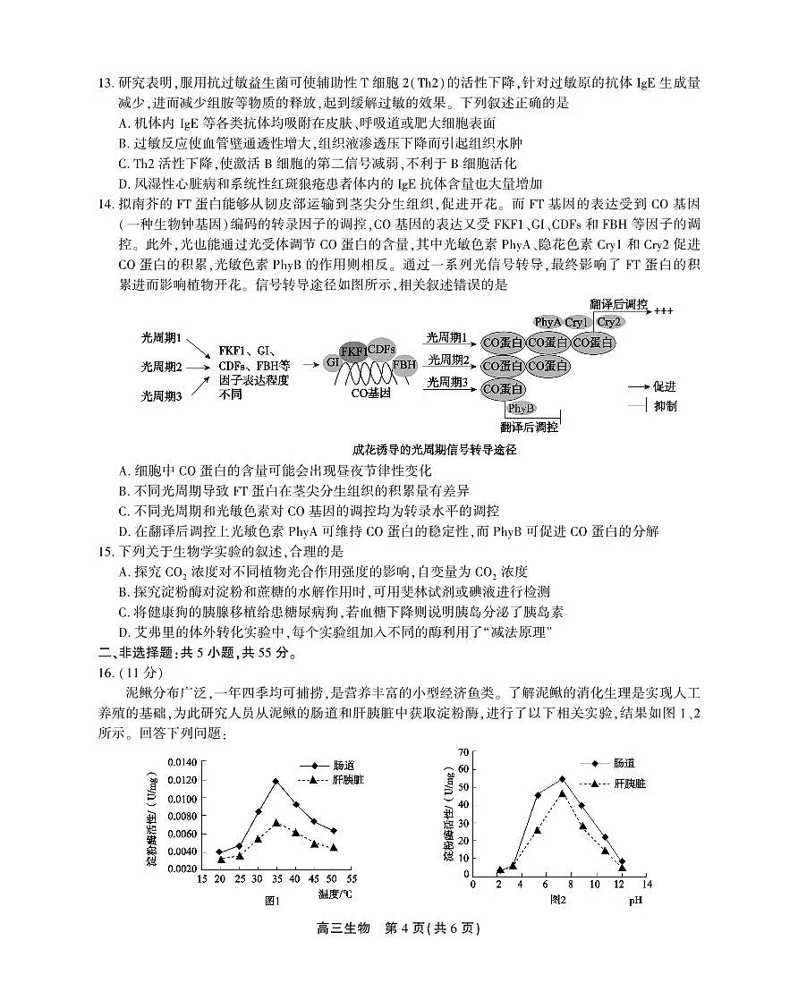 2024届安徽名校联盟高三上(12月考)-生物试题(含答案)第3页