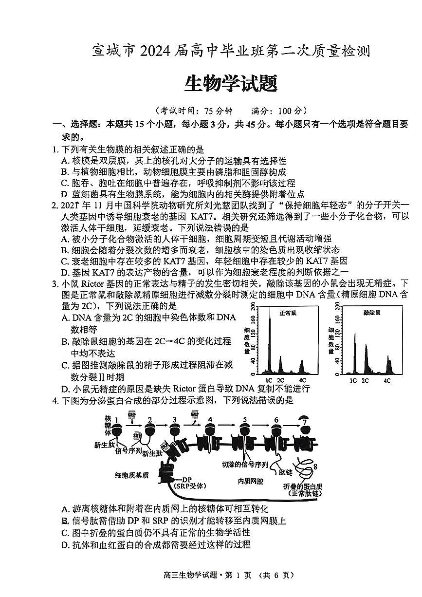 2024安徽省黄山、宣城高三第二次质量检测-生物(含答案)第1页