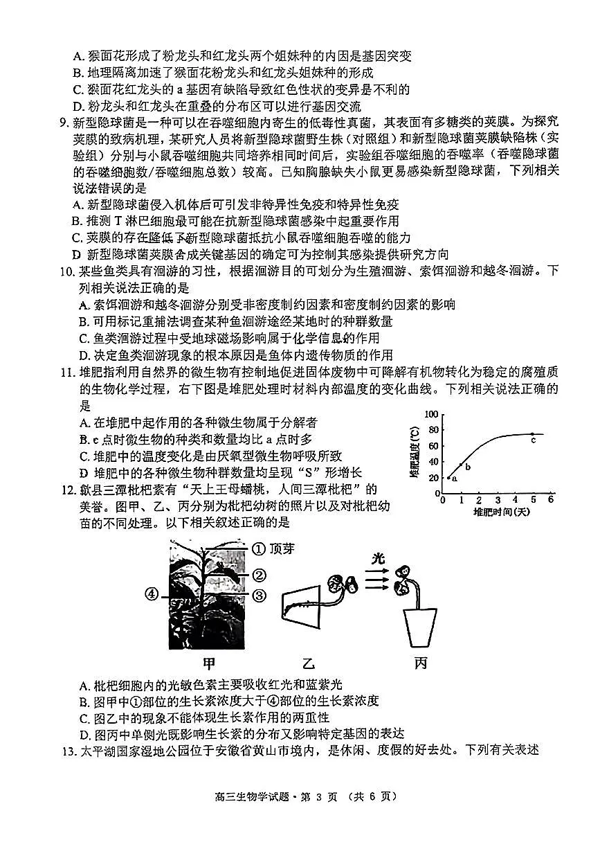 2024安徽省黄山、宣城高三第二次质量检测-生物(含答案)第3页