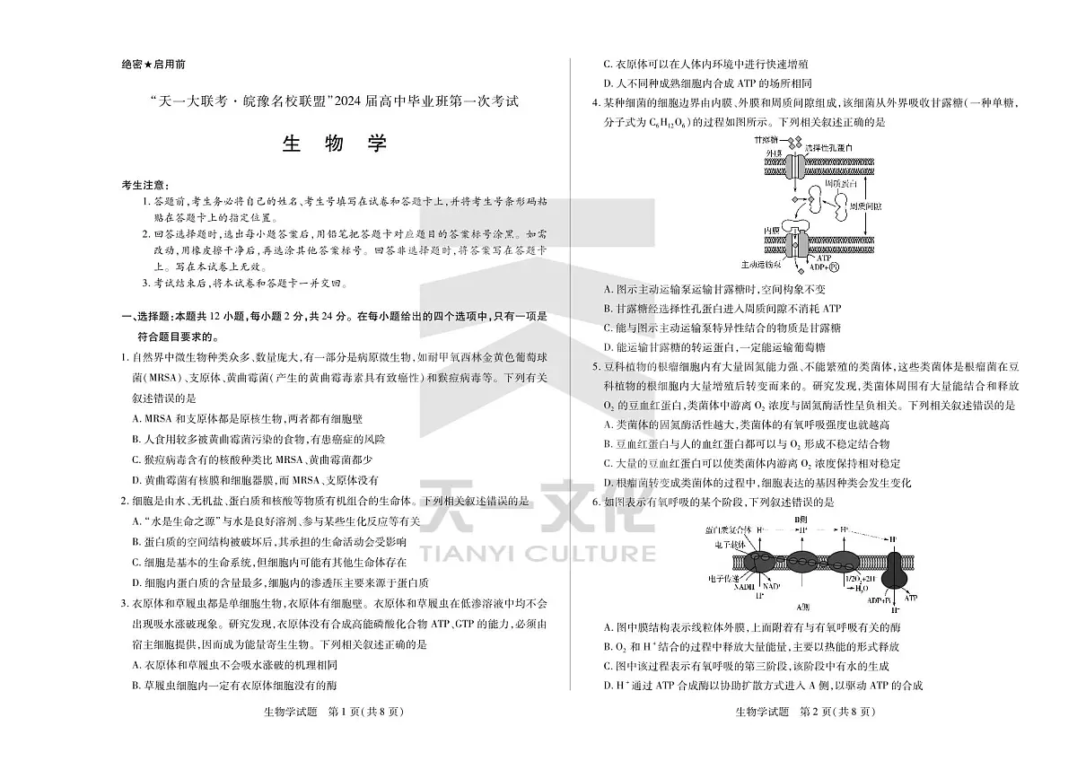2024届安徽省高三上(联考Ⅰ)-生物试题(含答案)第1页