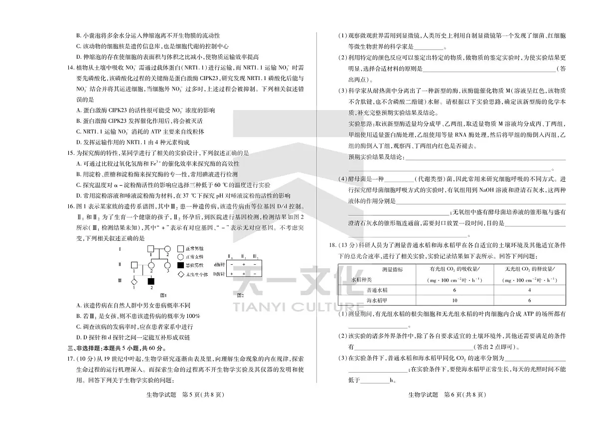 2024届安徽省高三上(联考Ⅰ)-生物试题(含答案)第3页