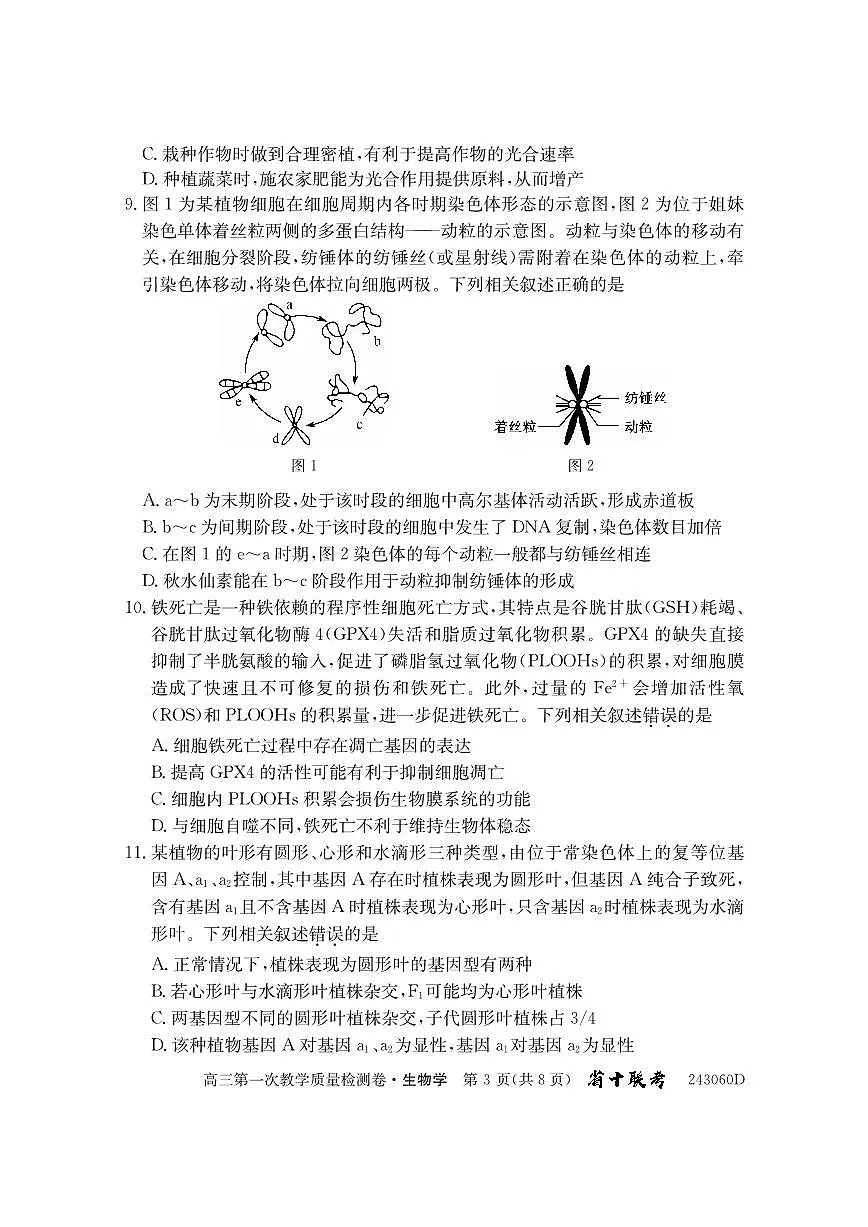 2024届安徽省合肥市第一中学高三上学期第一次教学质量检测 生物试题(含答案)第3页