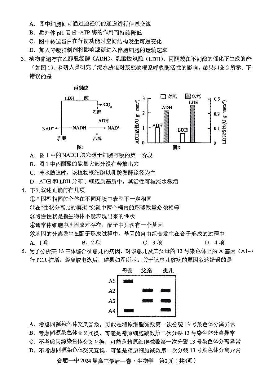 2024届安徽省合肥一中高三年级最后一卷-生物(含答案)第2页