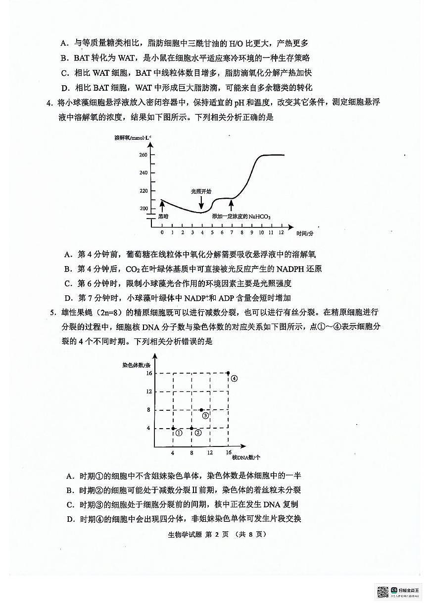 2024届安徽省江南十校高三下(3月月考)-生物(含答案)第2页
