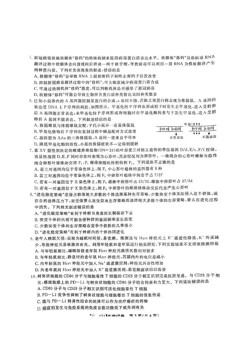 2024届安徽皖江联盟高三最后一卷-生物(含答案)第2页