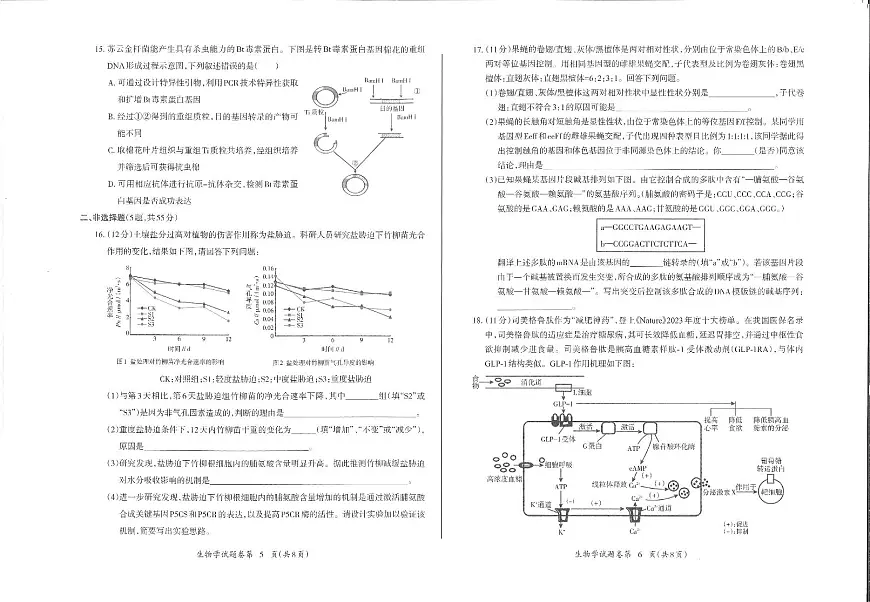 2024届安徽省芜湖市高三二模试卷-生物(含答案)第3页