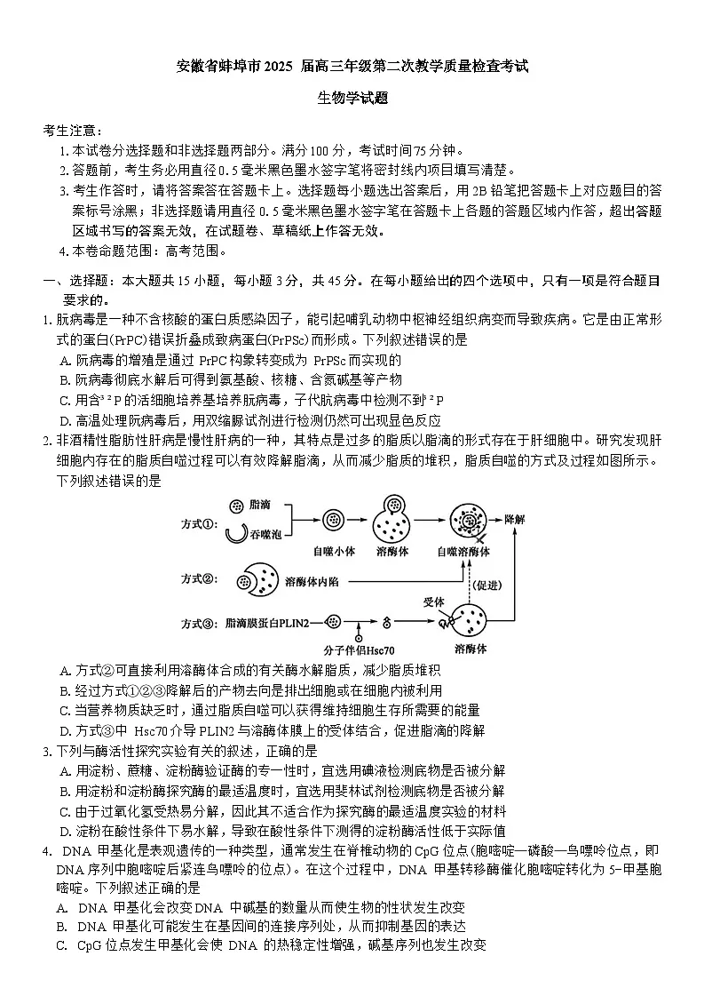 2025蚌埠高三下学期3月第二次模拟考试生物含解析第1页