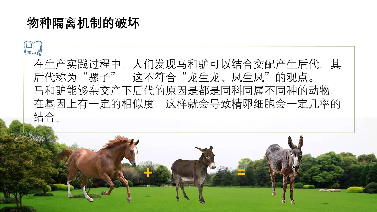2025年高中生物开学第一课 课件第8页