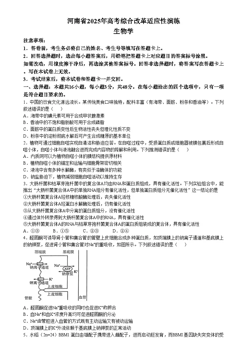 2025年1月八省联考高考综合改革适应性测试——高三生物试卷Word版无答案(河南)第1页