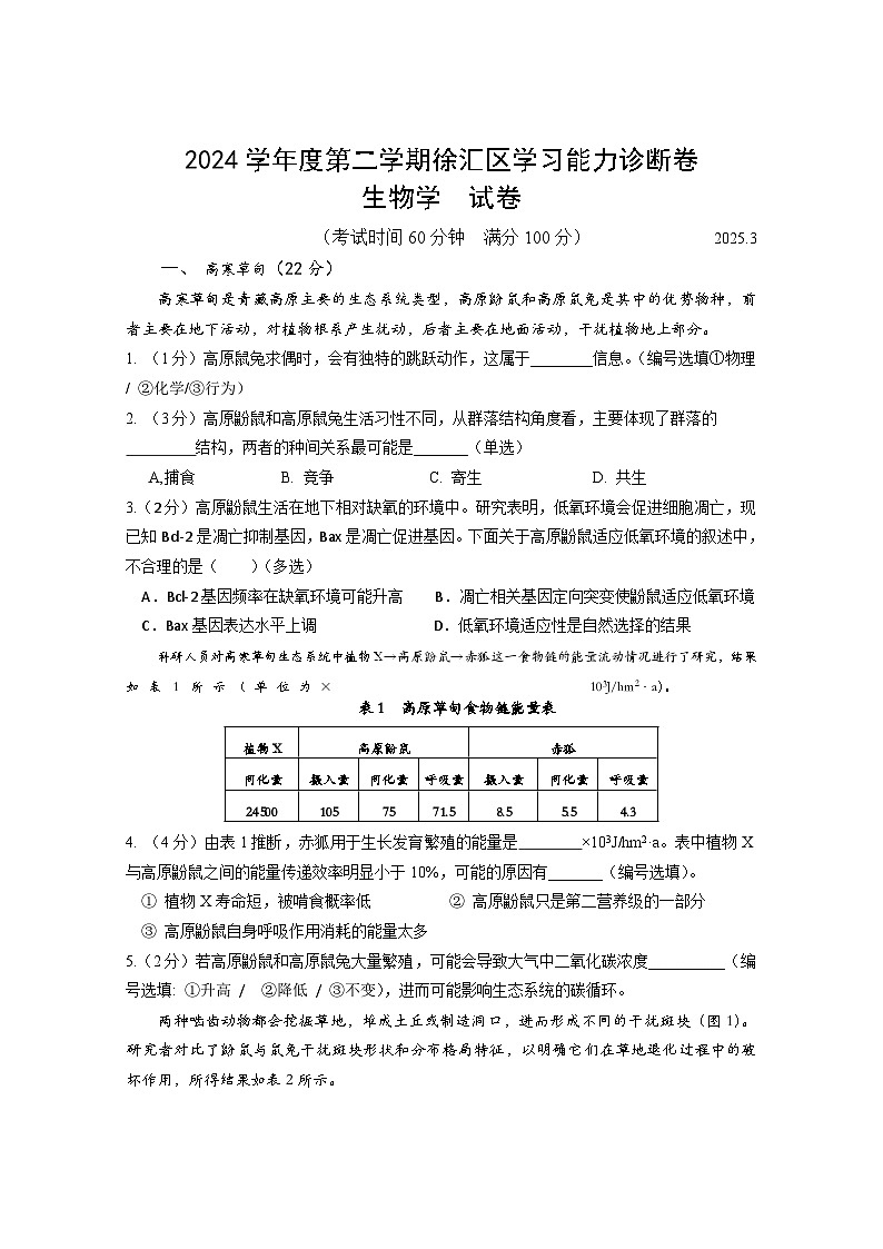 2025届上海市徐汇区高三下学期3月学习能力诊断卷(二模)生物试卷第1页