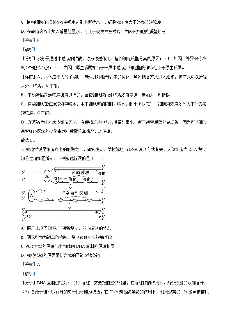 2025届山东省济宁市高三下学期3月一模考试生物试题(解析版)第3页